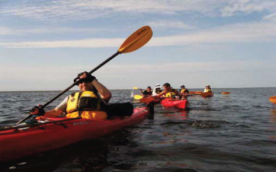 kayak_paddling_400